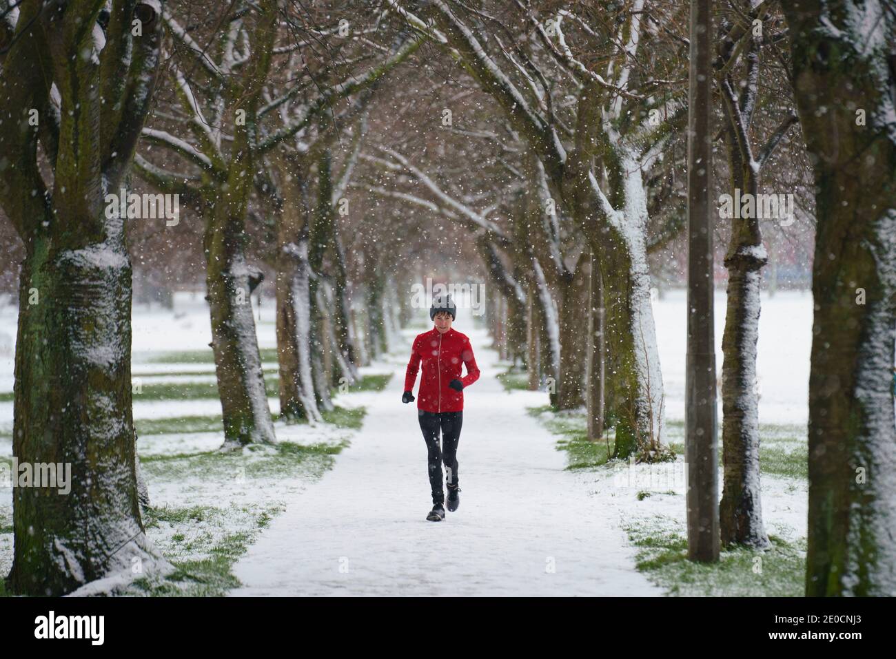 Edinburgh, Schottland, Großbritannien. 31 Dezember 2020. Eine Frau, die heute bei einem morgendlichen Schneefall auf einem von Bäumen gesäumten Fußweg im Meadows Park in Edinburgh läuft. Iain Masterton/Alamy Live News Stockfoto