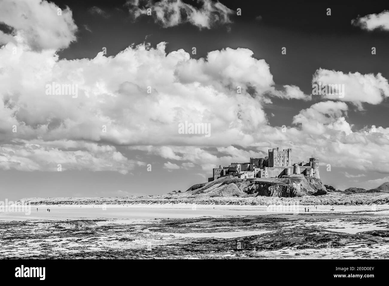 Northumberland. Dies sind die befestigten Wälle von Bambrugh Castle mit Blick über den Sand der Embleton Bay in Northumberland. Die Burg war die wichtigste Hochburg gegen Überfälle durch die Wikinger im 11. Jahrhundert und ist nach dem Dorf Bambrugh benannt Stockfoto