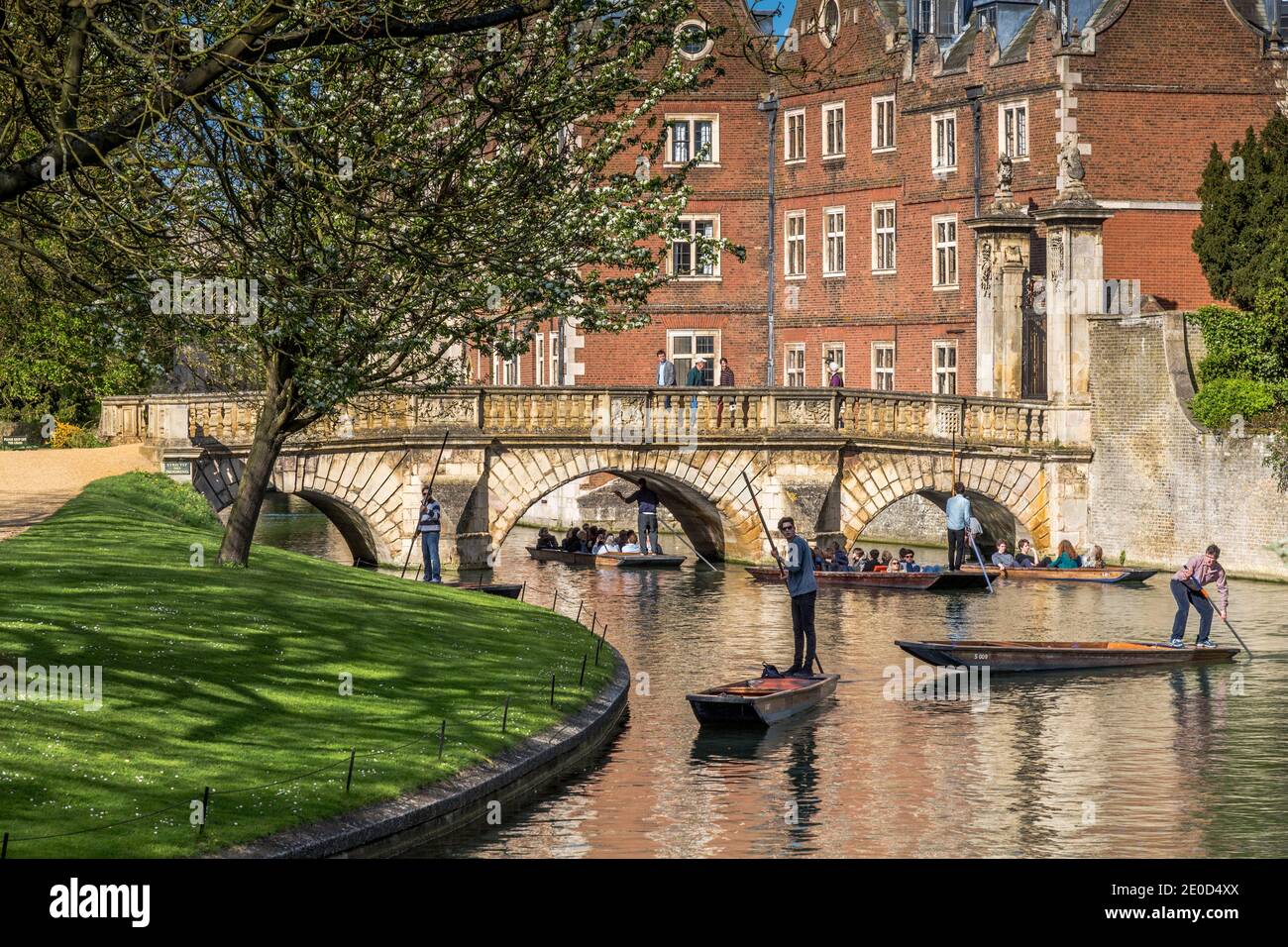 Touristen genießen Punt-Touren entlang des Flusses Cam im Zentrum Cambridge, Großbritannien Stockfoto