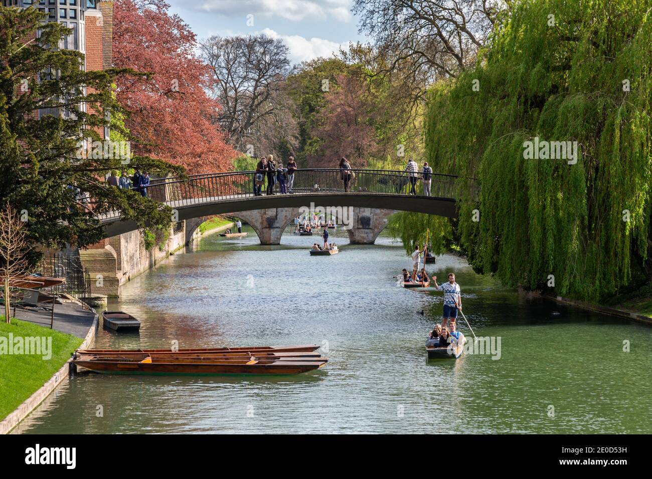 Touristen genießen Punt-Touren entlang des Flusses Cam im Zentrum Cambridge, Großbritannien Stockfoto