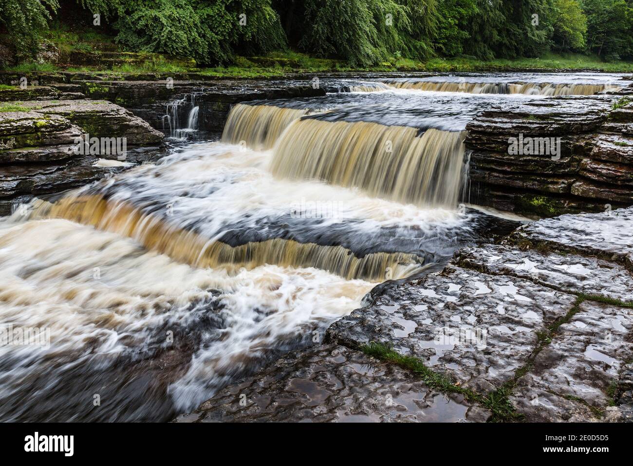 Aysgarth Lower Falls, Wensleydale, North Yorkshire, Yorkshire Dales National Park, England, Großbritannien Stockfoto