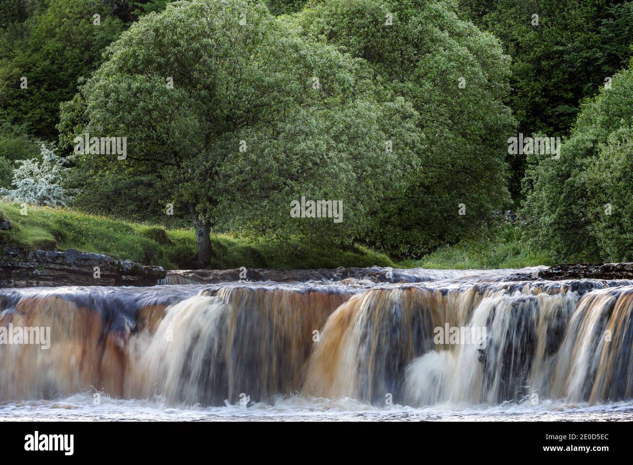 Wain Wath Force auf dem Fluss Swale bei Keld, Swaledale, Yorkshire Dales National Park, England Stockfoto