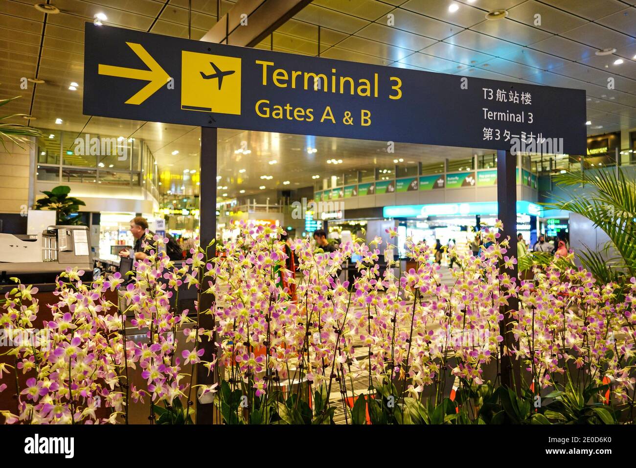 Singapur Changi International Airport, Singapur, Südostasien Stockfoto