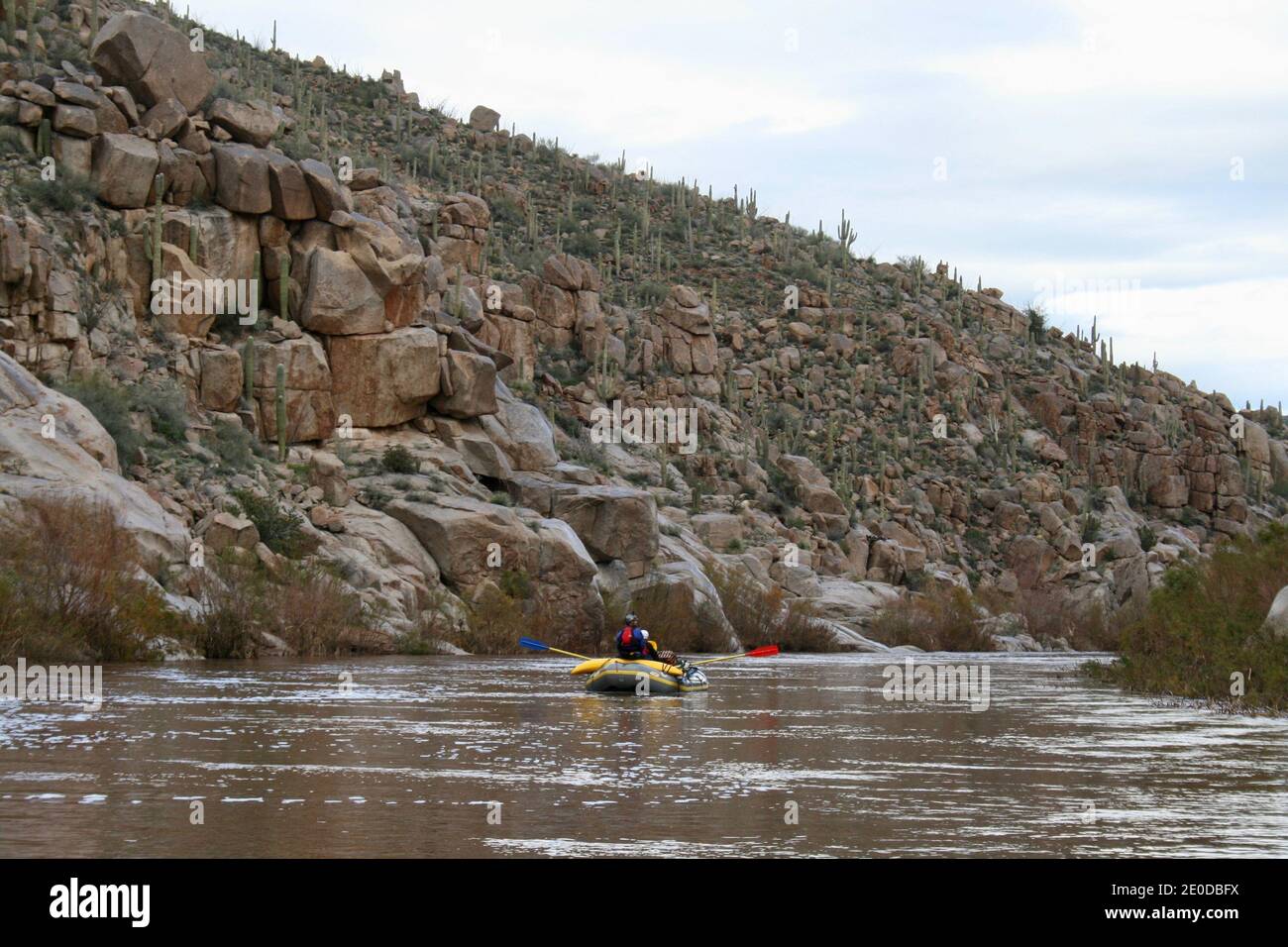 Rafting auf dem Spring River Arizona Stockfoto