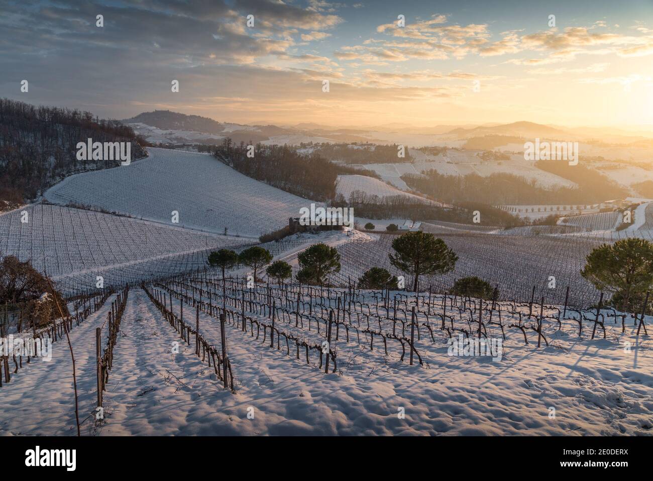 Winterlandschaft von Oltrepo Pavese bei Sonnenuntergang mit Schloss Montalto Auf dem Hintergrund und Weinberge Stockfoto