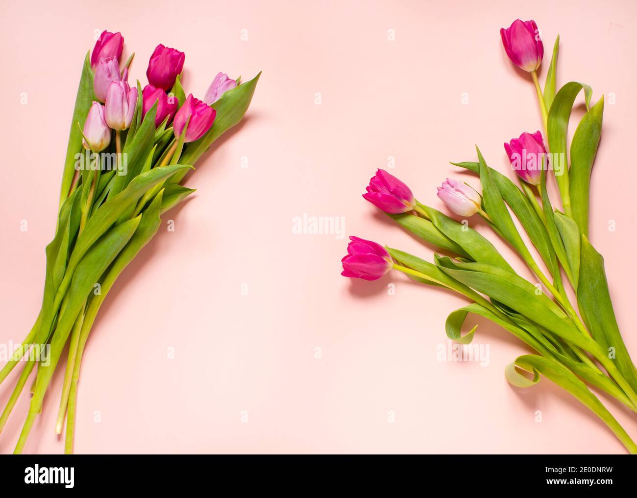 Frühlingskomposition, Tulpenarrangements auf einem rosa pastellfarbenen Hintergrund, Draufsicht, Rahmen, Rand, hübsche Karte mit Blumen für Muttertag, Hochzeit oder Hap Stockfoto