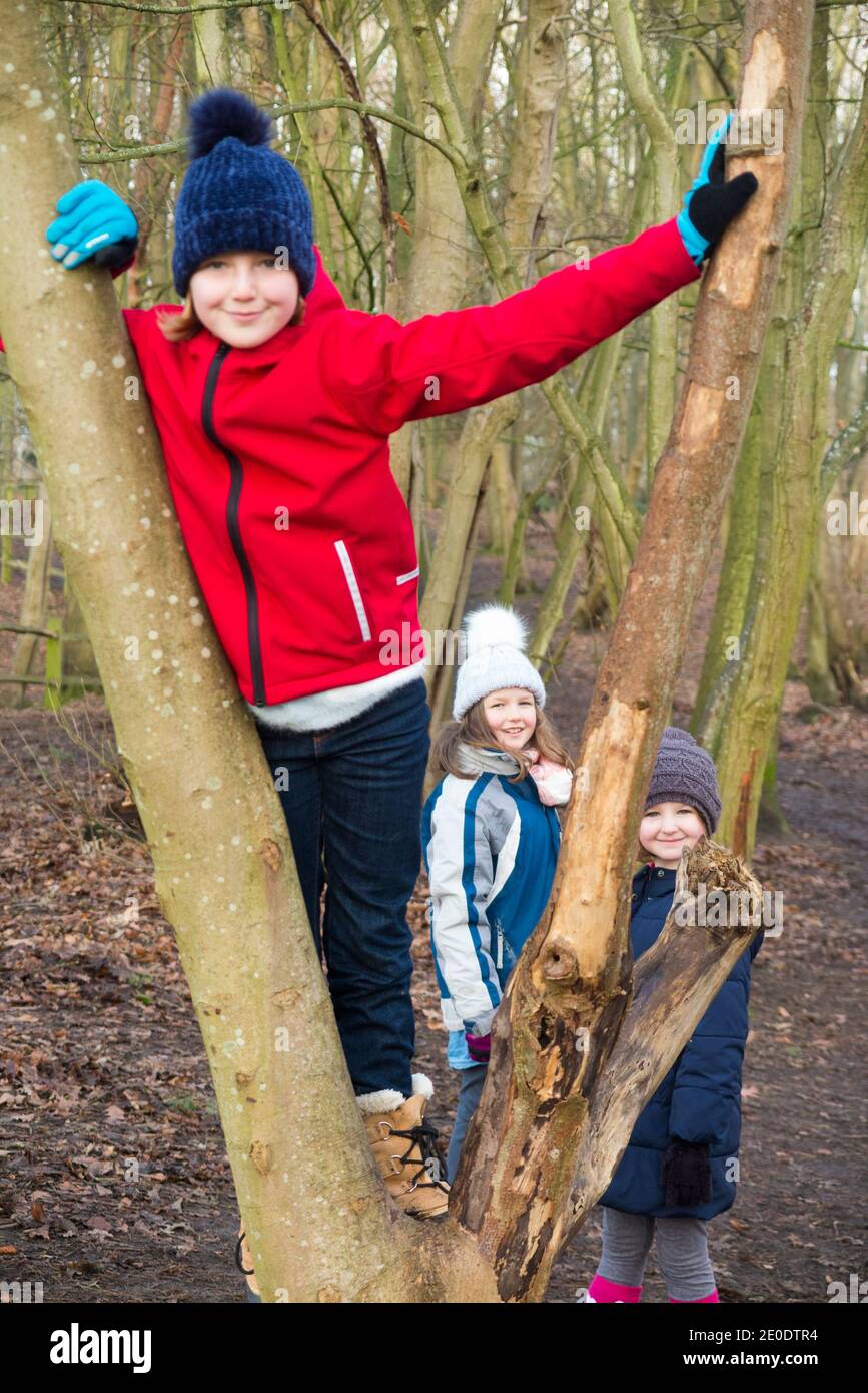 Kinder / Kinder / Kinder / Mädchen klettern in niedrigen Bäumen Äste als Teil der Forest School; ein Wintertag in Waldwäldern auf West End Common, Esher, Surrey. England GB. (122) Stockfoto