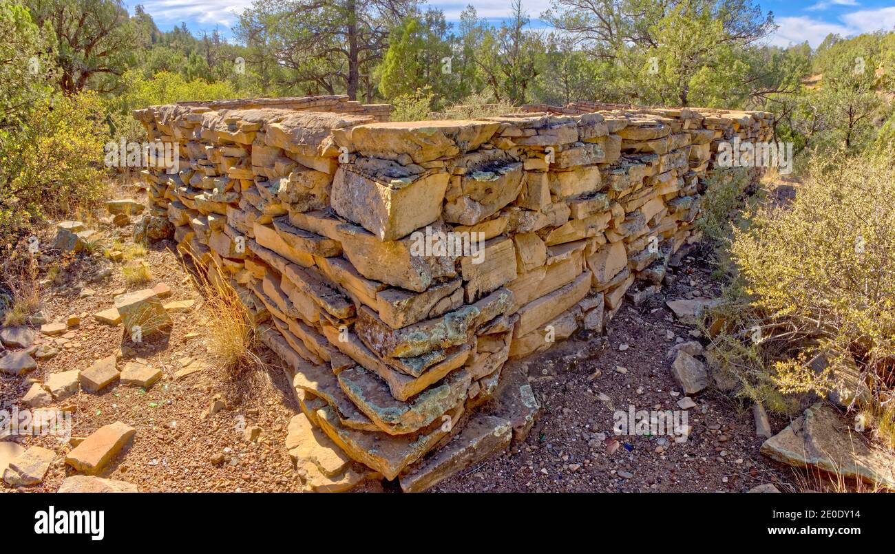 Alte Pionierruinen am Ende des MC Canyon östlich von Drake Arizona. Die Ruinen könnten über 100 Jahre alt sein. Gelegen im Prescott National Forest. Stockfoto