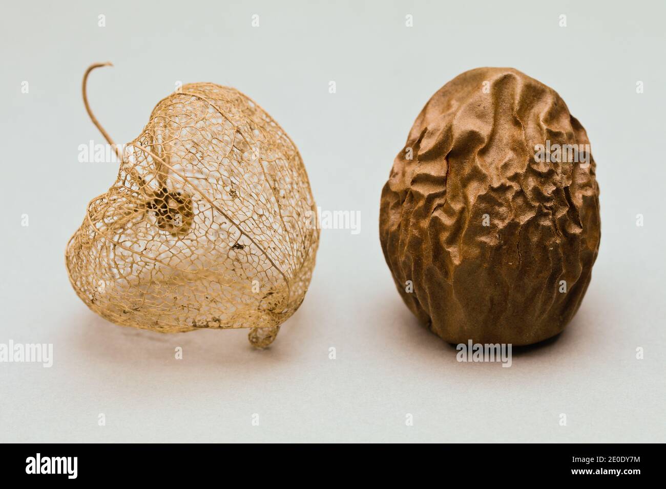 Physalis peruviana und Mango - Stein - Stillleben aus Objekte pflanzlichen Ursprungs Stockfoto