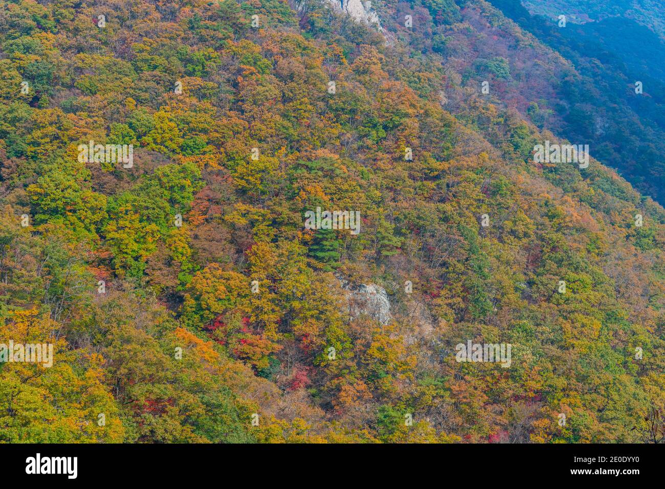 Gipfel des Naejangsan Nationalparks in der Republik Korea Stockfoto