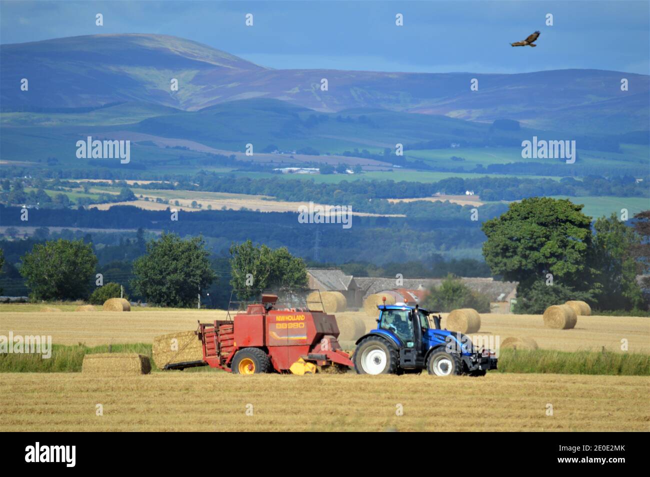 Valtra Traktor groß quadratische Ballenpressen - Landwirtschaft Perthshire Stockfoto