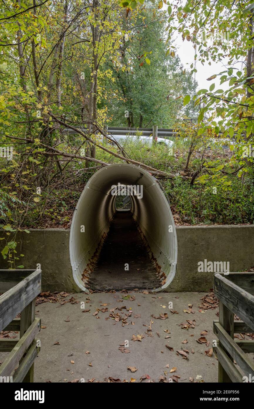 Eiertunnel unter der Straße im Cuyahoga Valley National Park Stockfoto