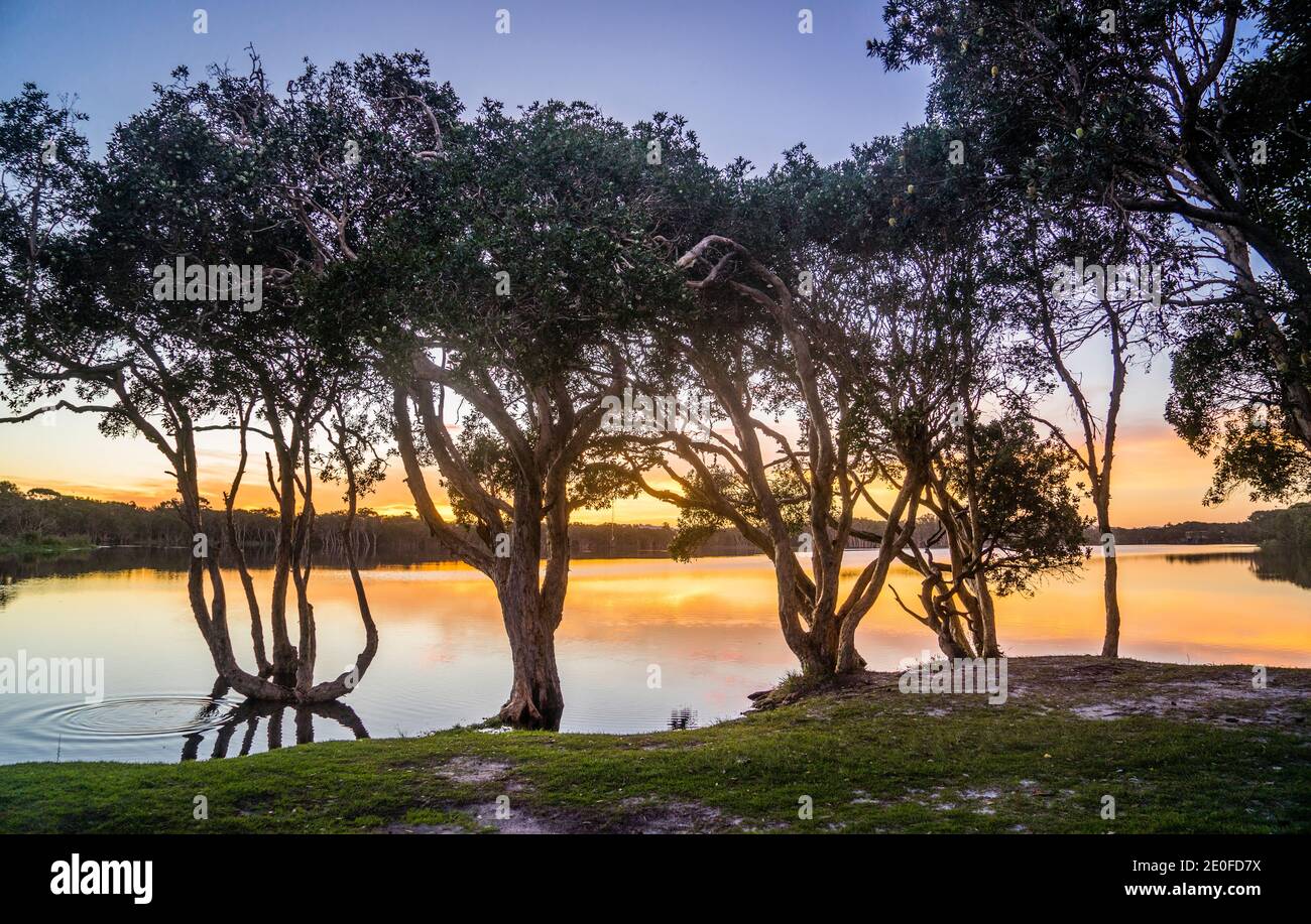 Abendstimmung am Lake Ainsworth, auch Teai Tree Lake genannt wegen der Teebäume an seinem Ufer, Lennox Head, Northern Rivers Region, North Coast of Stockfoto