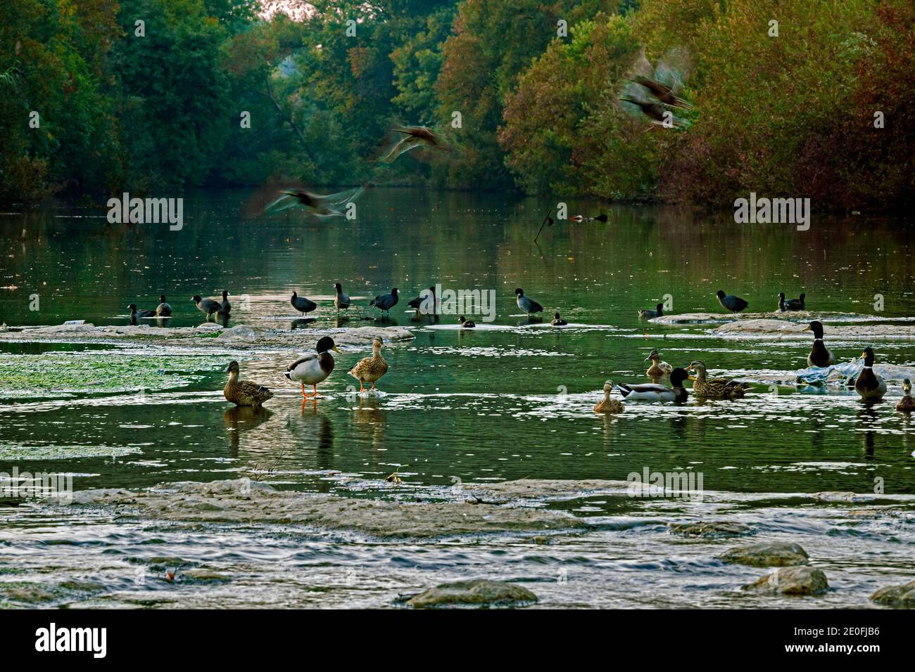 Der Los Angeles River im Sepulveda Basin Recreation Area, Los Angeles, Kalifornien, USA Stockfoto