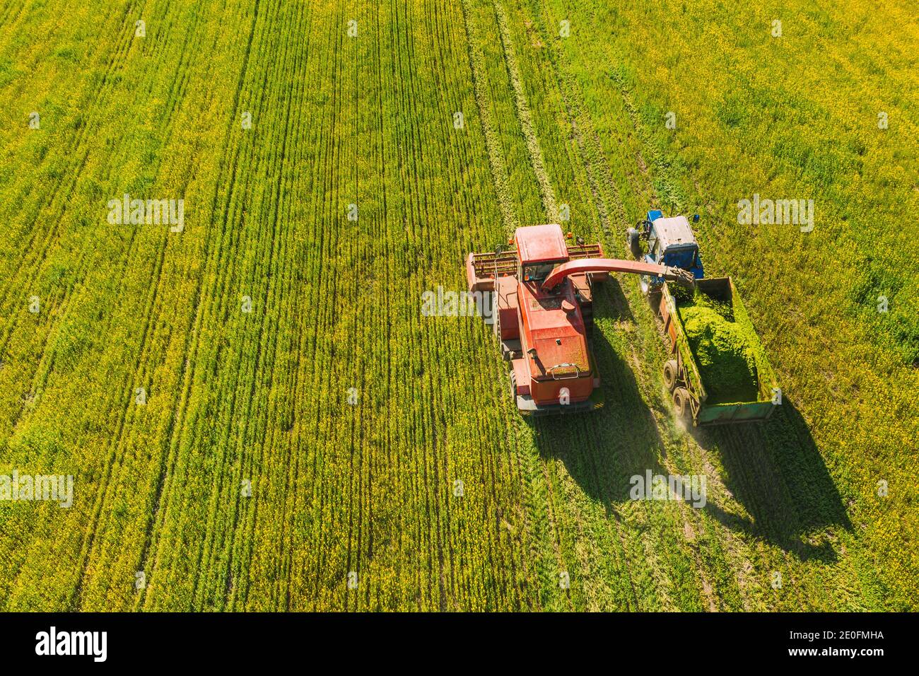 Luftaufnahme Der Ländlichen Landschaft. Mähdrescher Und Traktor Arbeiten Zusammen Im Feld. Ernte Von Ölsaaten Im Frühjahr. Landwirtschaftliche Maschinen Stockfoto
