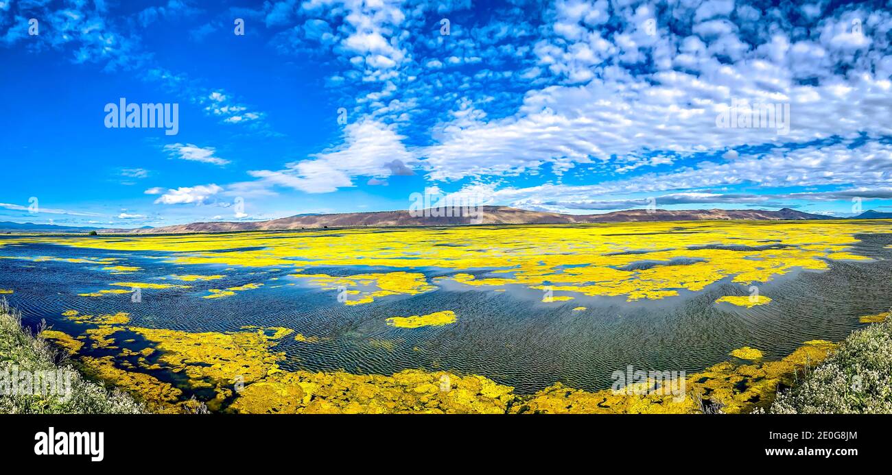 Panoramablick auf Tule Lake National Wildlife Refuge, Kalifornien Stockfoto