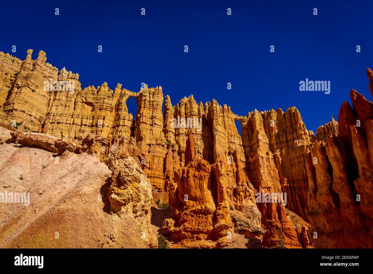 Wall of Windows im Bryce Amphitheatre, Bryce Canyon National Park, Utah Stockfoto