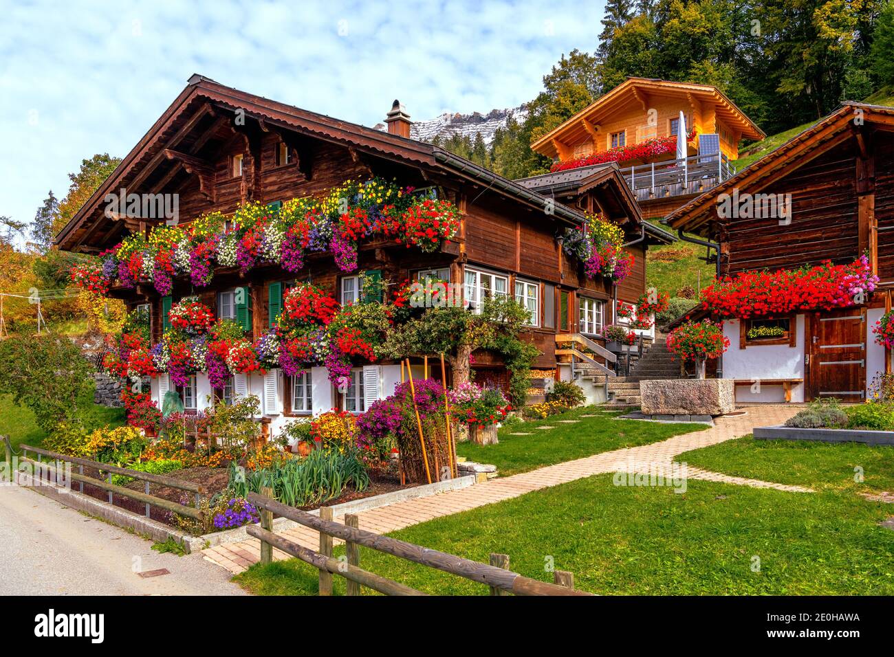 House Flowers Switzerland Stockfotos und -bilder Kaufen - Alamy