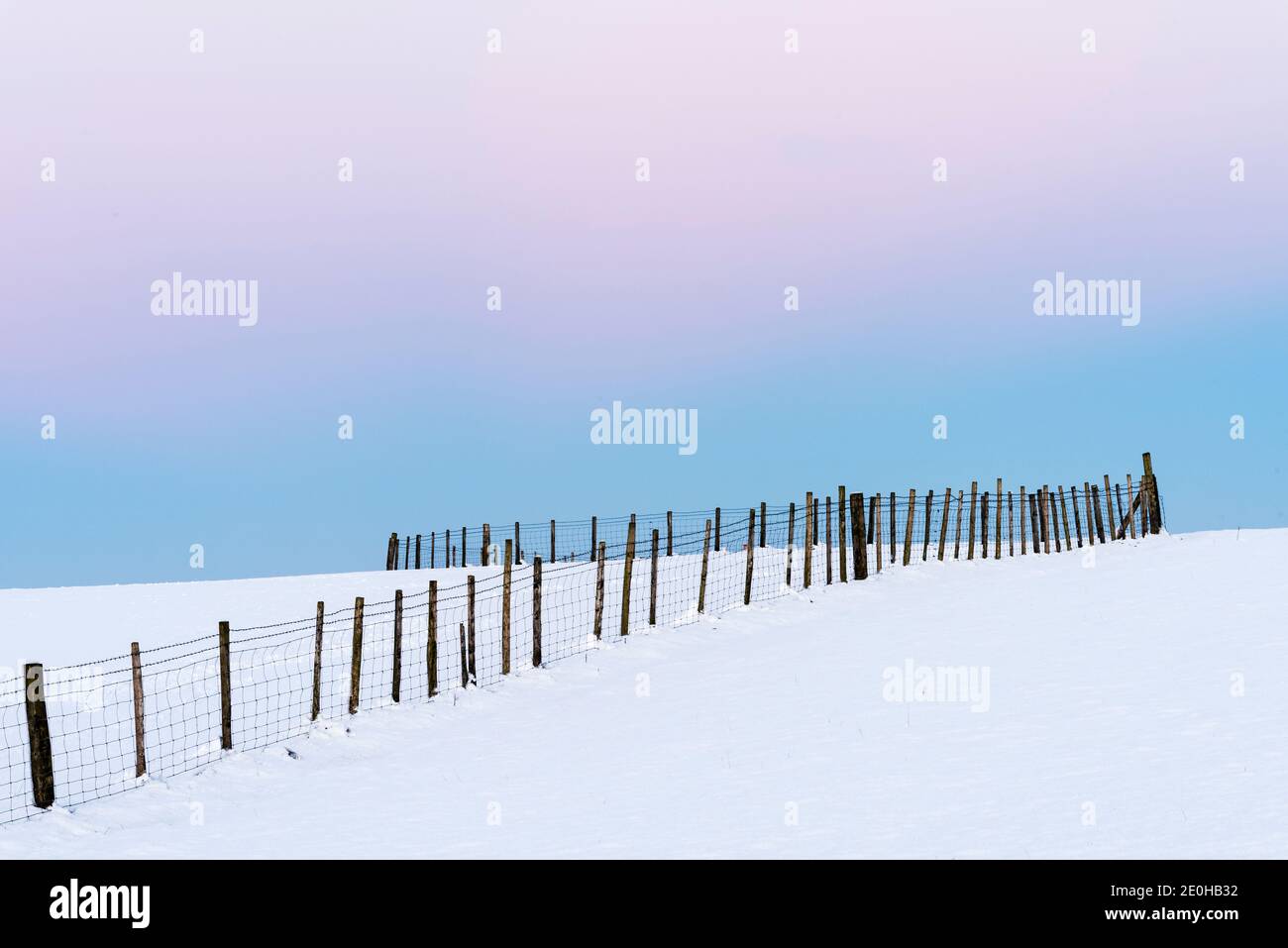 Fenceposts machen ein abstraktes Muster in einem verschneiten Feld in Midwinter, UK Stockfoto