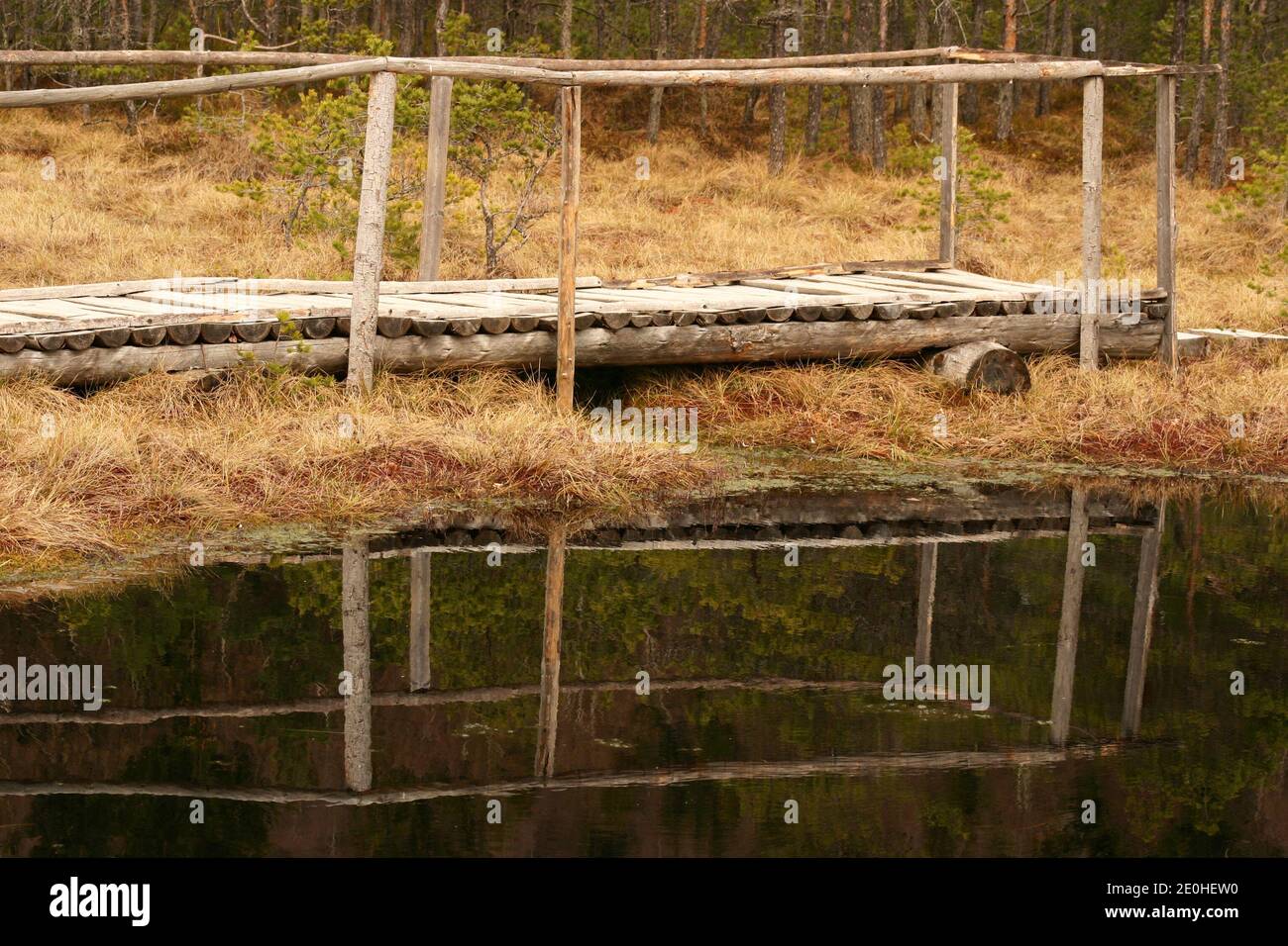 Harghita County, Rumänien. Mohos Peat Mog, ein Naturschutzgebiet im Krater eines alten Vulkans in den Karpaten. Stockfoto