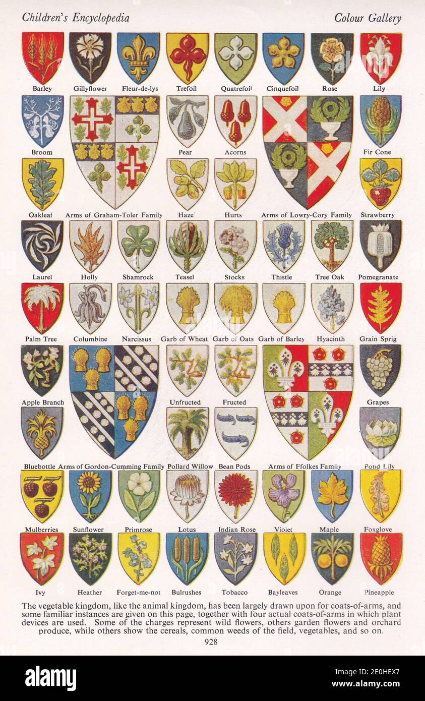 Geschichte der Heraldik in Bildern Schilde, Ordinarien, Tinkturen und