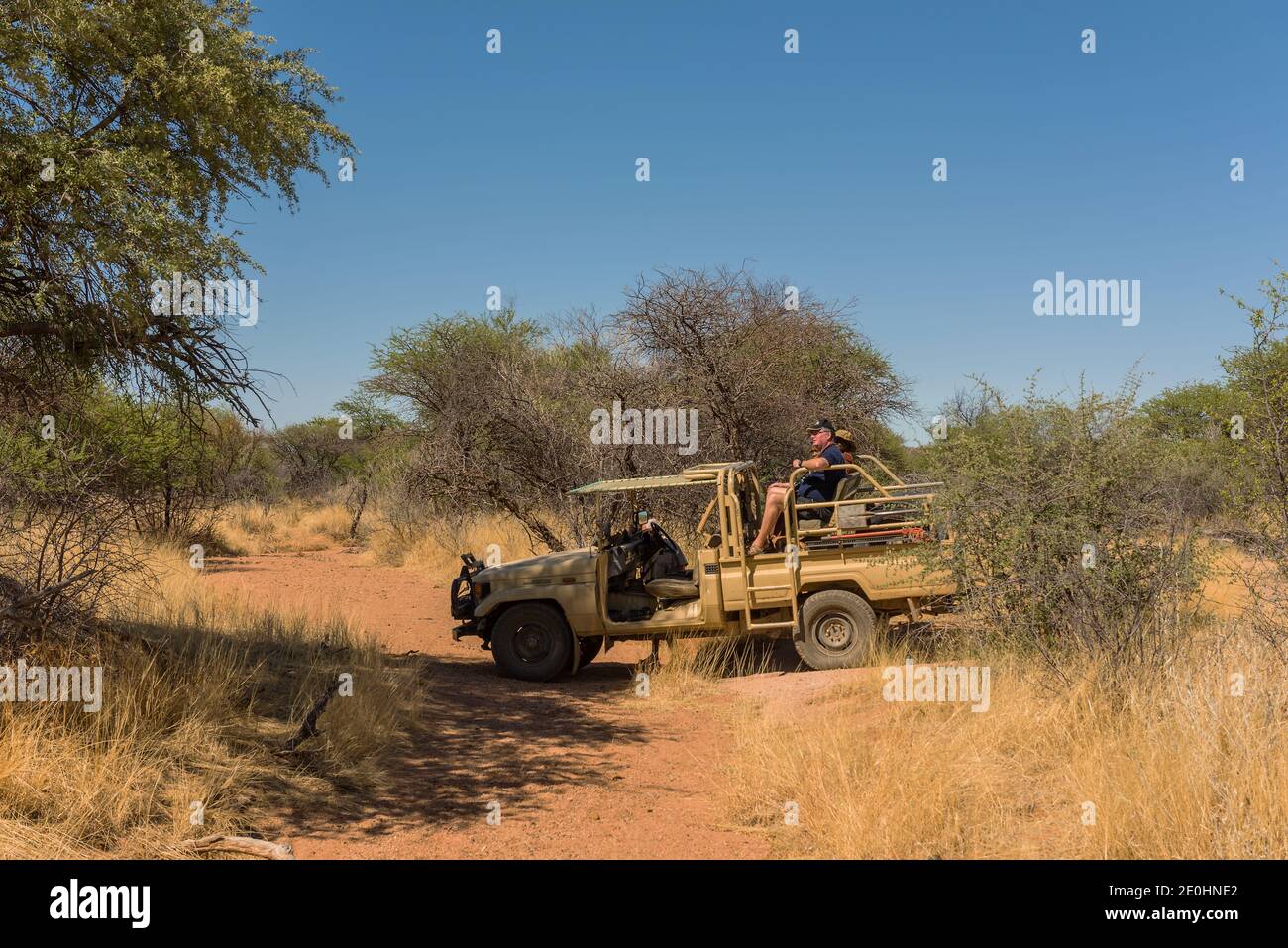 Wildfahrt auf einer Gästefarm in Namibia Stockfoto