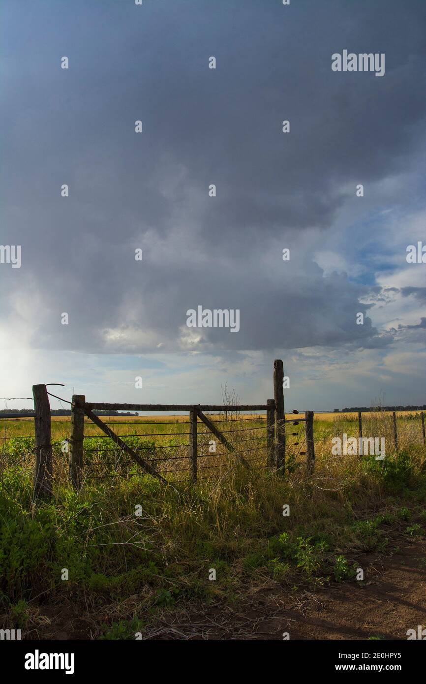 Pampas Landschaft, Argentinien Stockfoto