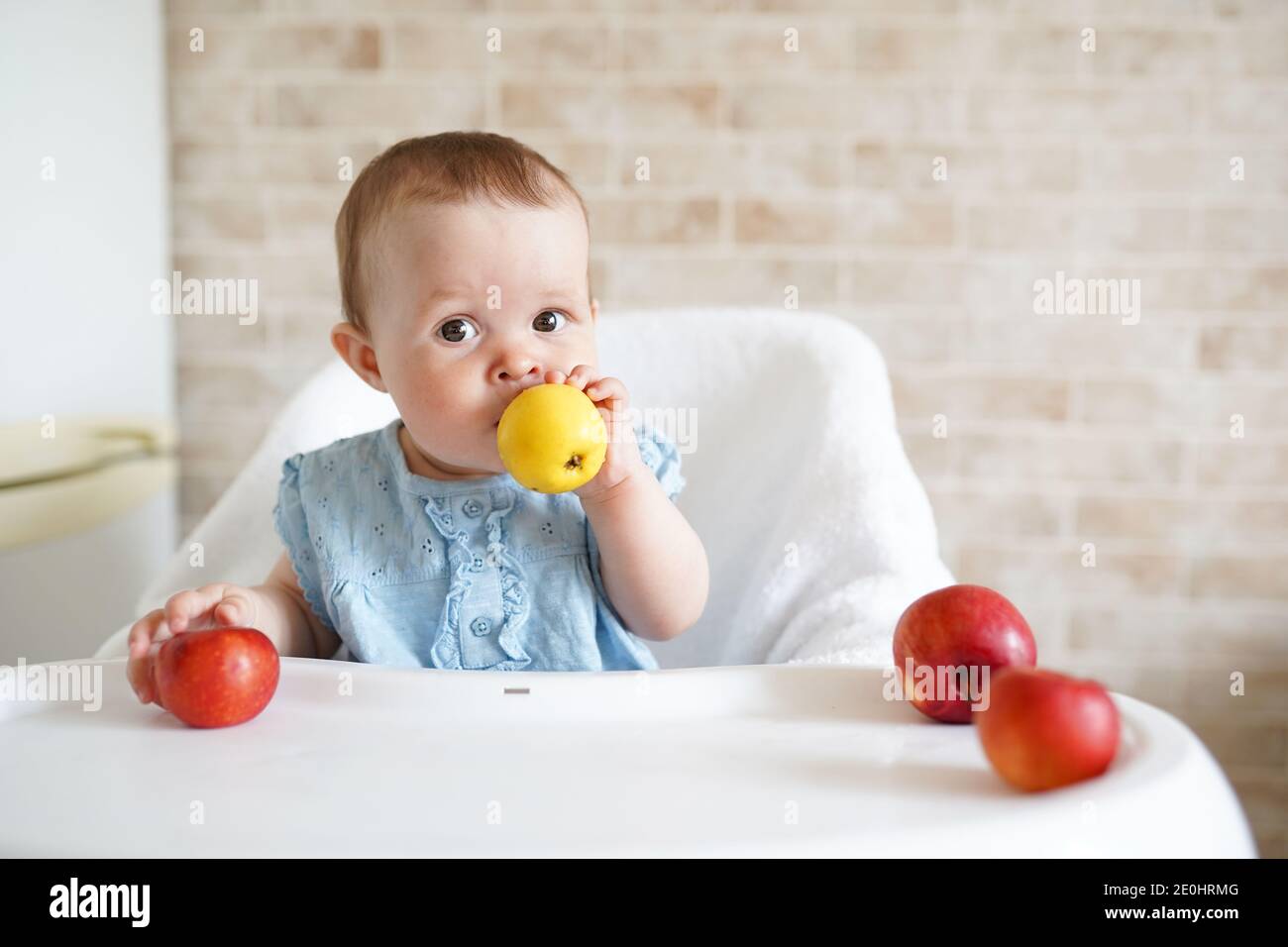 Cute Baby essen Obst. Kleines Mädchen beißt gelben Apfel sitzen in weißen Hochstuhl in der sonnigen Küche. Gesunde Ernährung für Kinder. Feste Nahrung für Infan Stockfoto