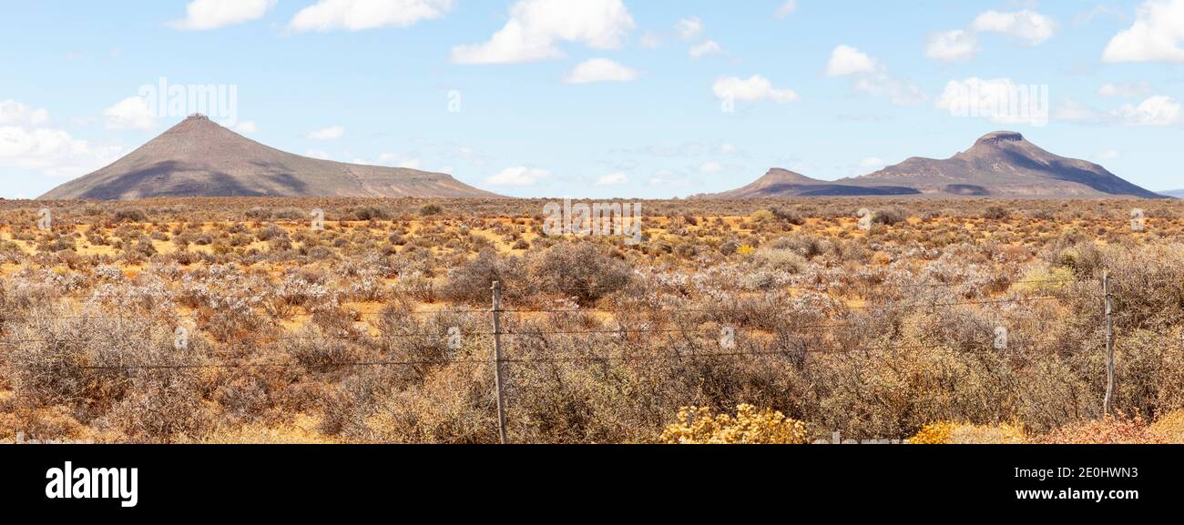 Große Karoo-Landschaft mit flachen Dolerit-Koppies oder Bergen, Western Cape, Südafrika Stockfoto