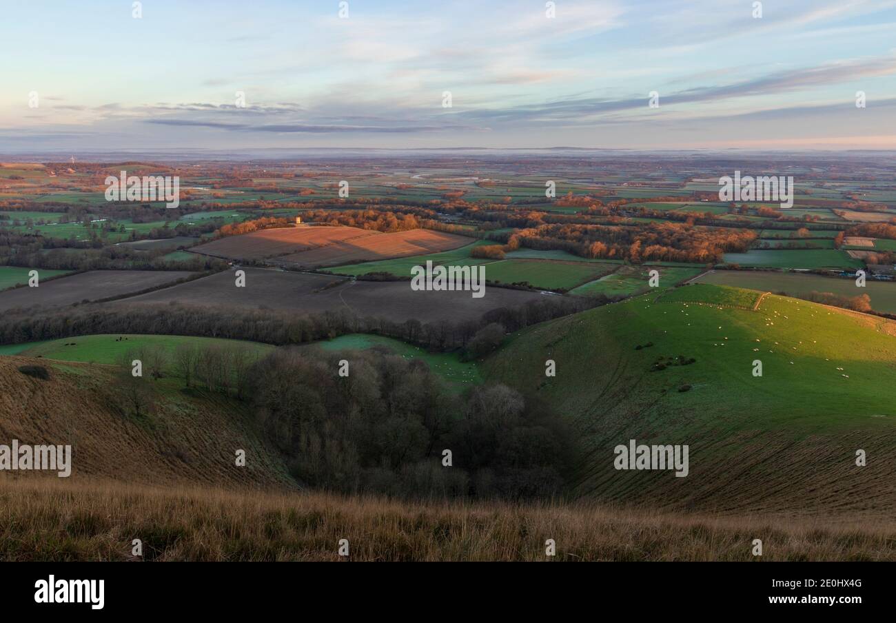 Firle Turm und grasenden Schafe im Rampenlicht gefangen Die morgendliche goldene Stunde von Firle Beacon im Süden Downs East Sussex South East England Stockfoto