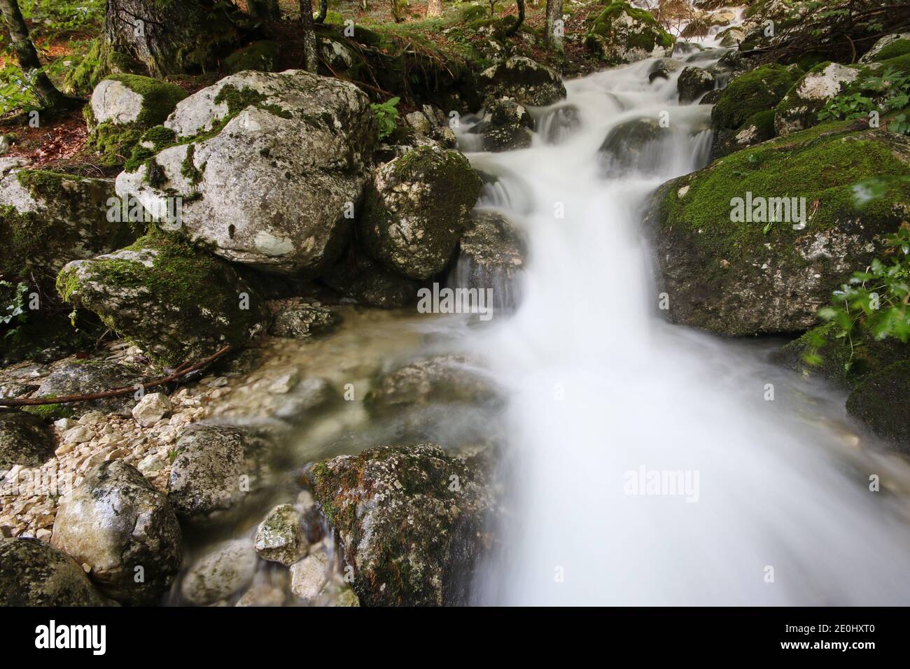 Fließender Gebirgsbach durch den Wald bei Mostnica Wasserfall, Voje Tal, Bohinj, Slowenien Stockfoto