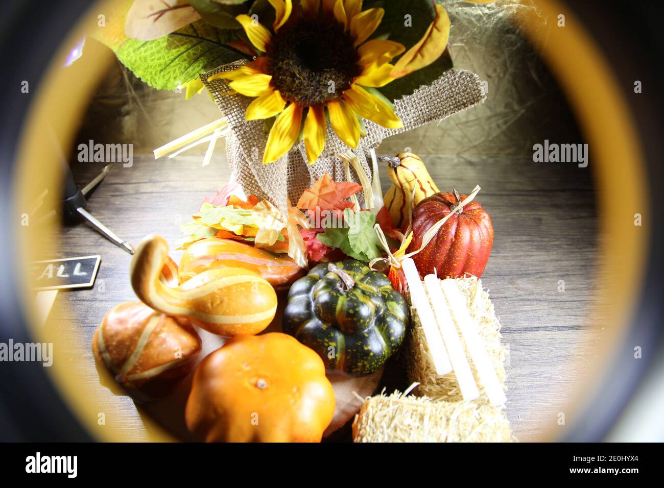 Sonnenblume umgeben von grünen, gelben, roten und orangen Kürbissen und Kürbissen, neben Heu und Klebesticks zum Basteln, eingerahmt von gelb und schwarz Stockfoto