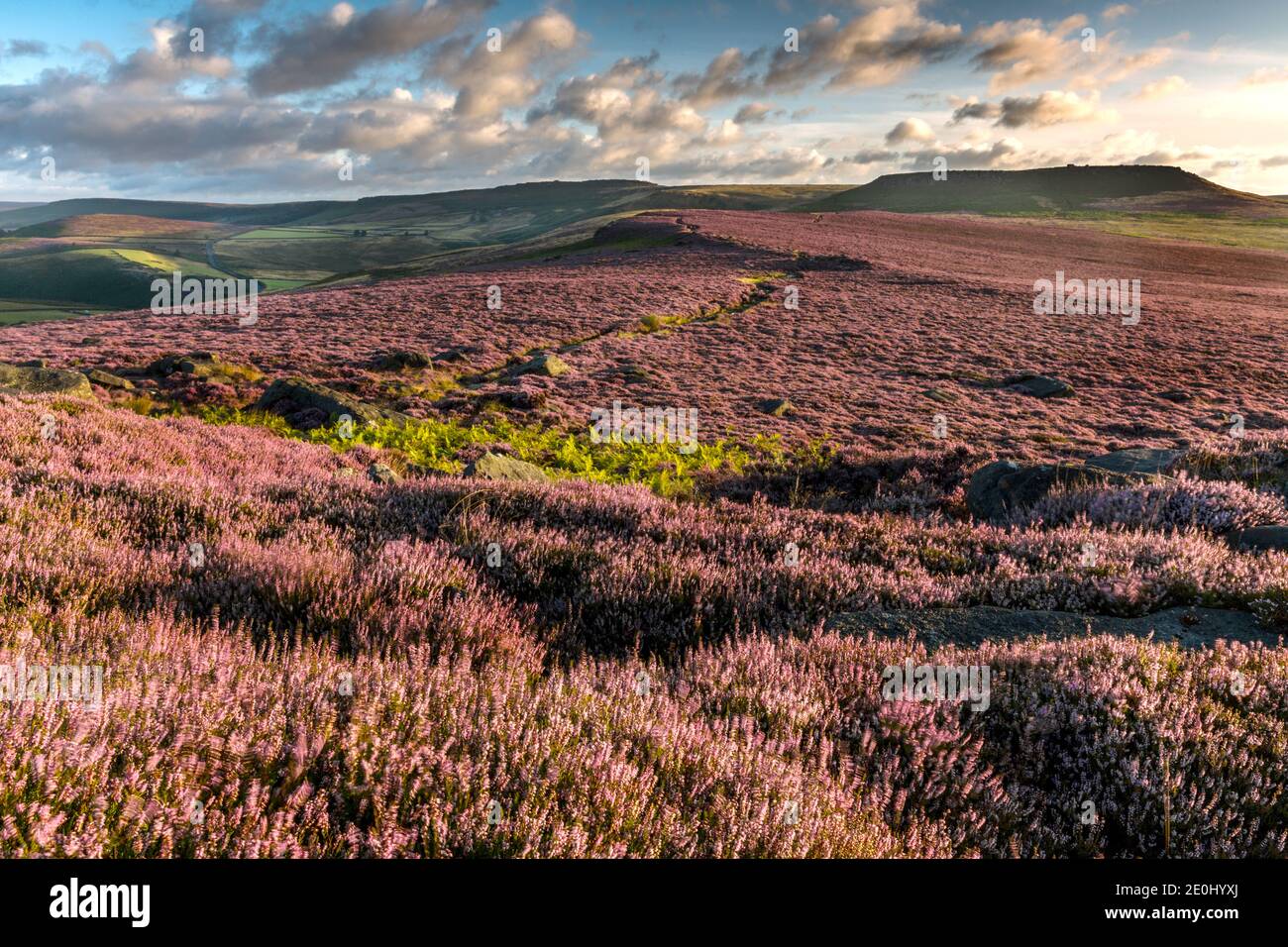Blick auf Millstone Edge vom Owler Tor, Peak District National Park, Derbyshire, England Stockfoto