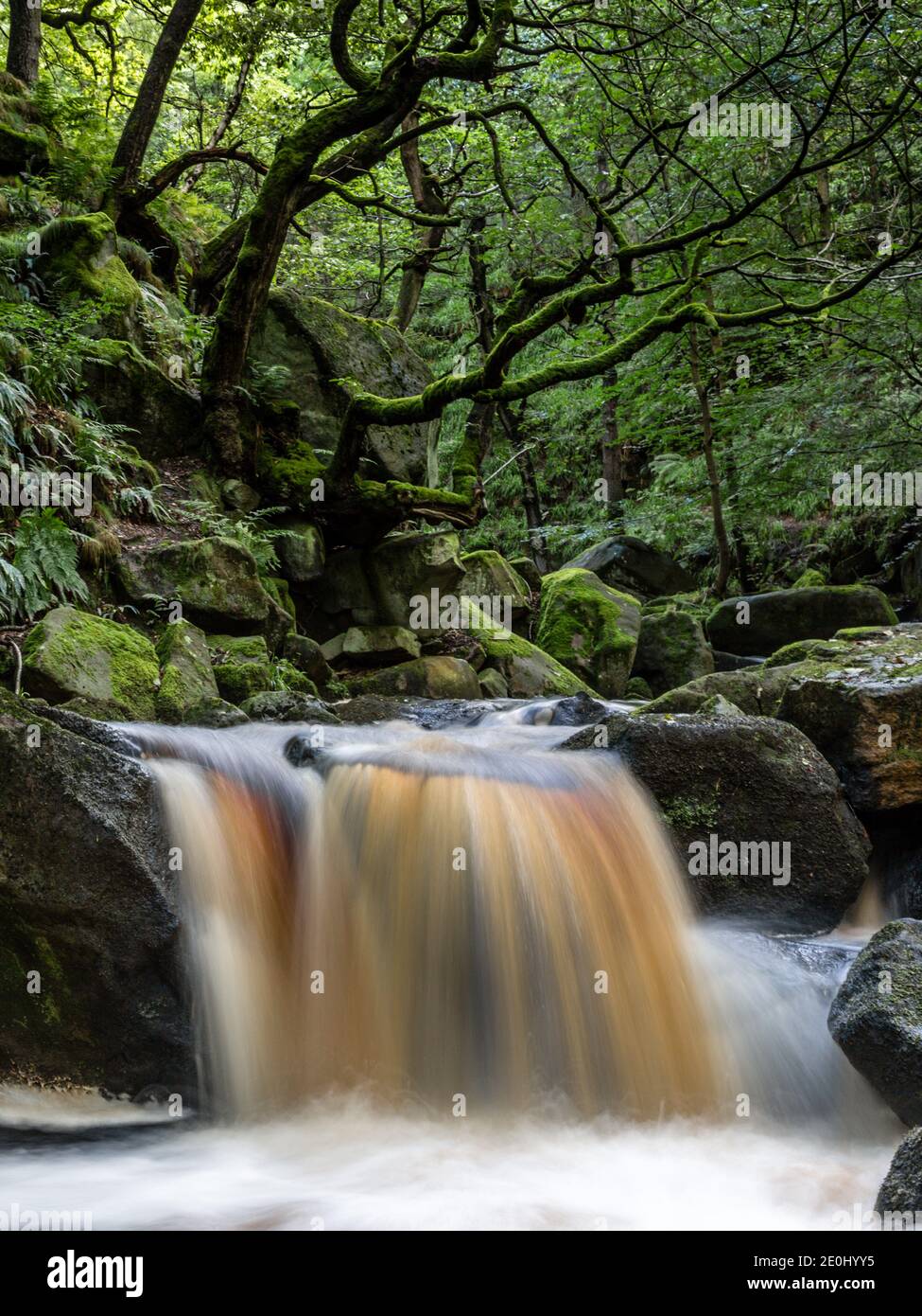 Burbage Brook fließt über Felsen in Padley Gorge, Peak District National Park, Derbyshire, England Stockfoto