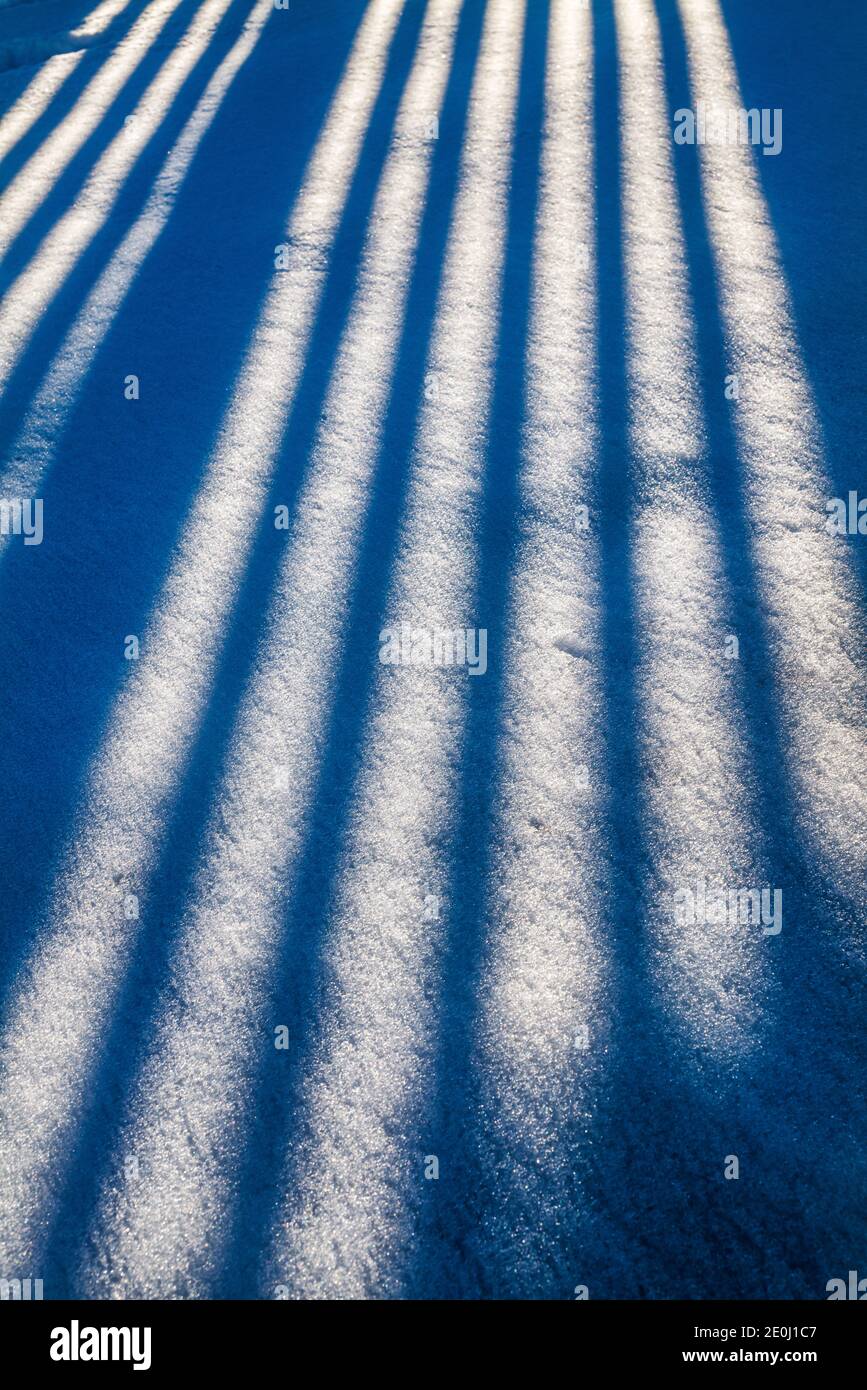 Weißer Vinyl-Pfostenzaun wirft lange Winterschatten auf Neuschnee; Salida; Colorado; USA Stockfoto