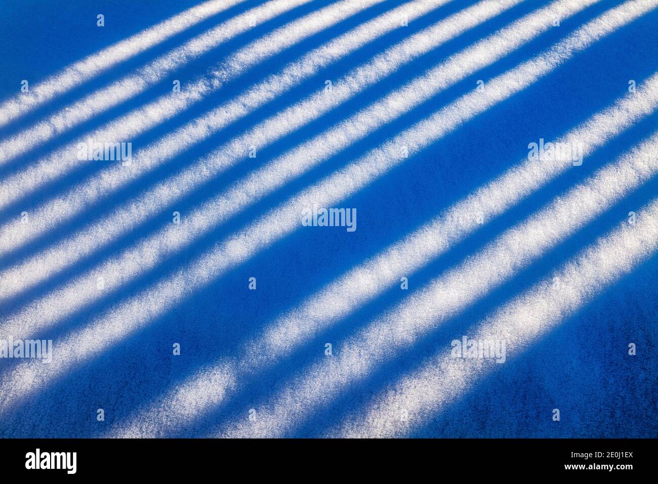 Weißer Vinyl-Pfostenzaun wirft lange Winterschatten auf Neuschnee; Salida; Colorado; USA Stockfoto