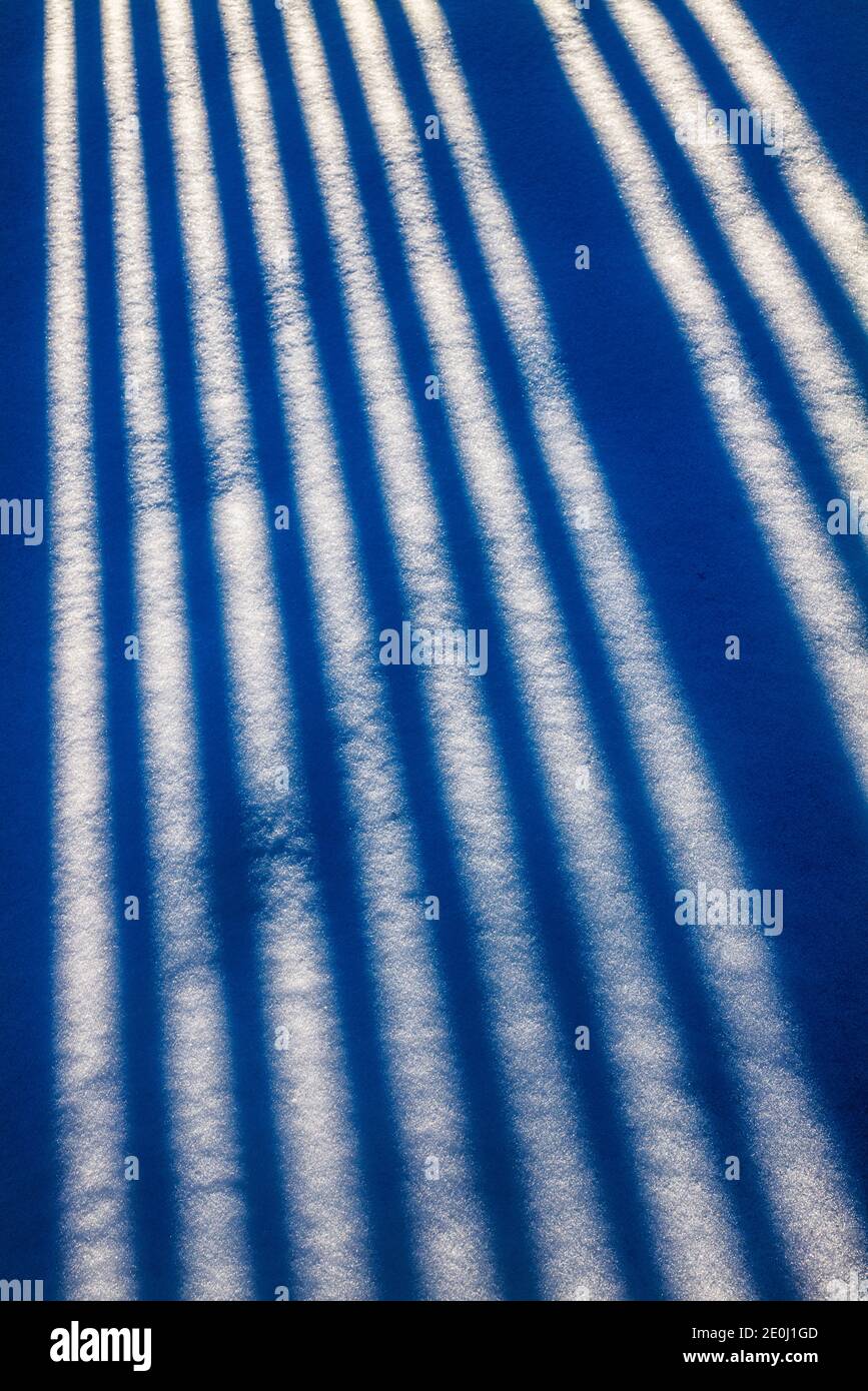 Weißer Vinyl-Pfostenzaun wirft lange Winterschatten auf Neuschnee; Salida; Colorado; USA Stockfoto