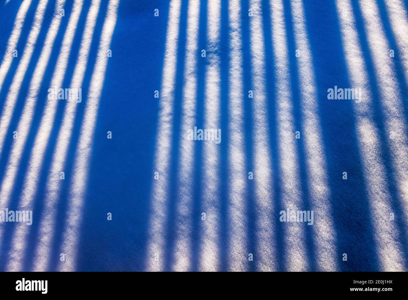 Weißer Vinyl-Pfostenzaun wirft lange Winterschatten auf Neuschnee; Salida; Colorado; USA Stockfoto