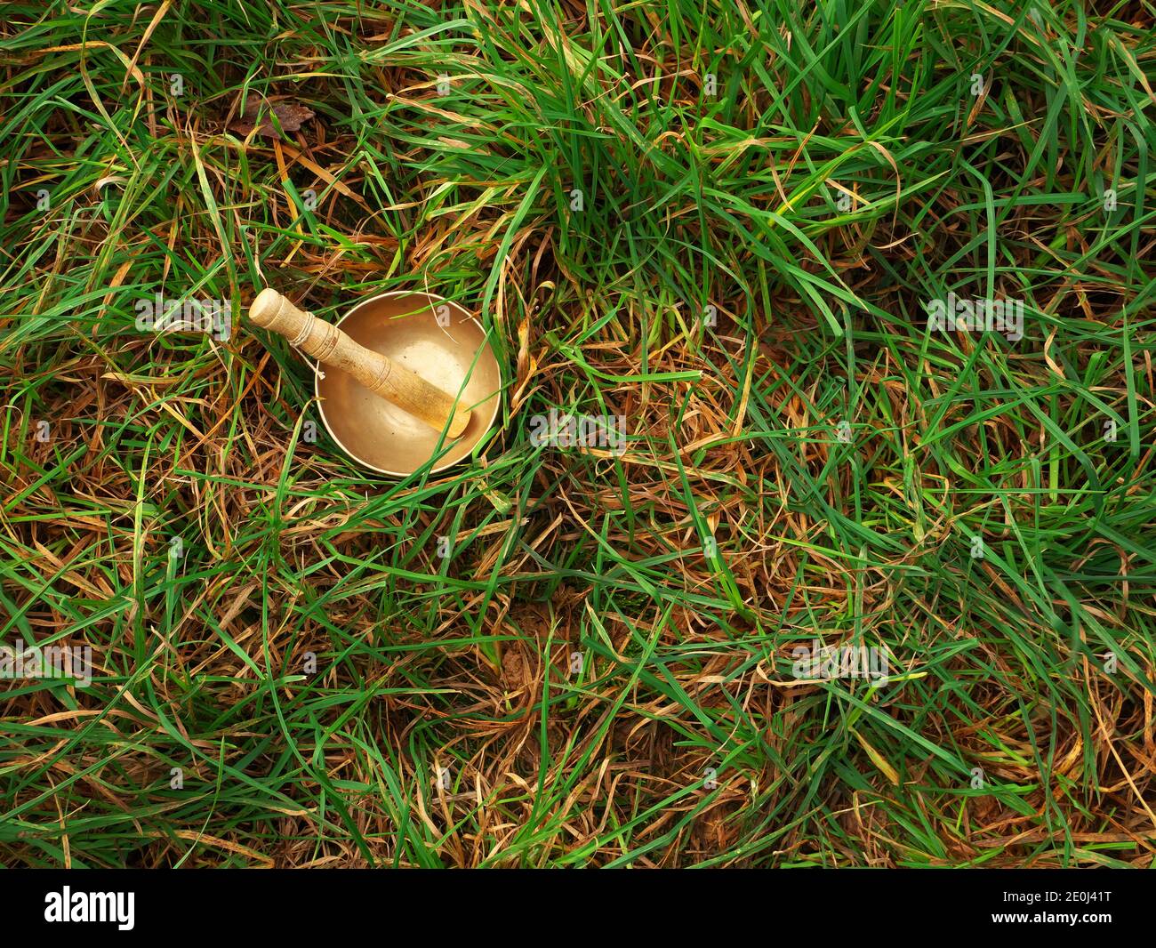 Singende Schüssel in der Mitte des hohen Grases gesetzt. Draufsicht Stockfoto