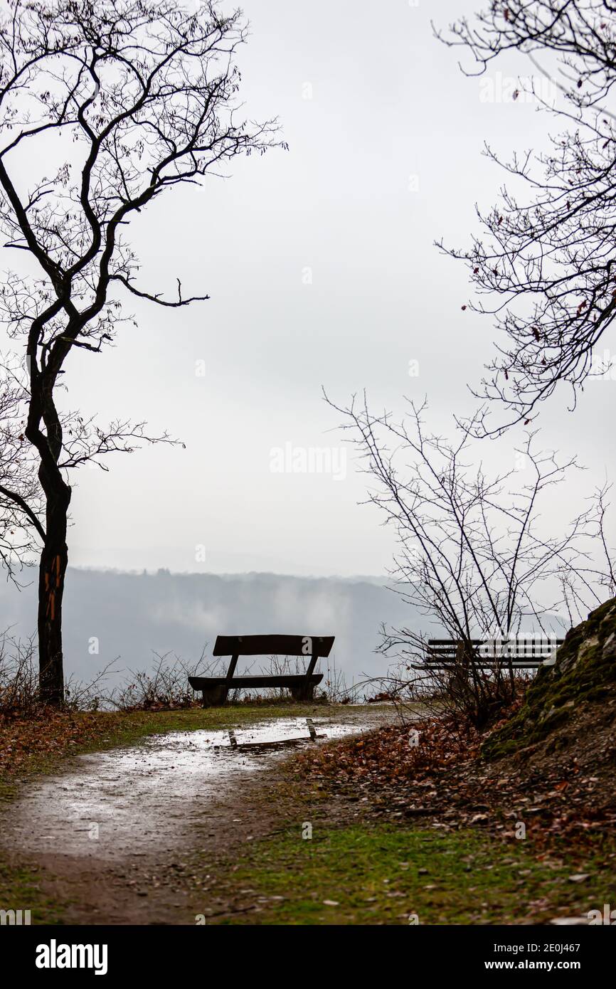Picknickbereich mit Holzbänken im Nebel Stockfoto