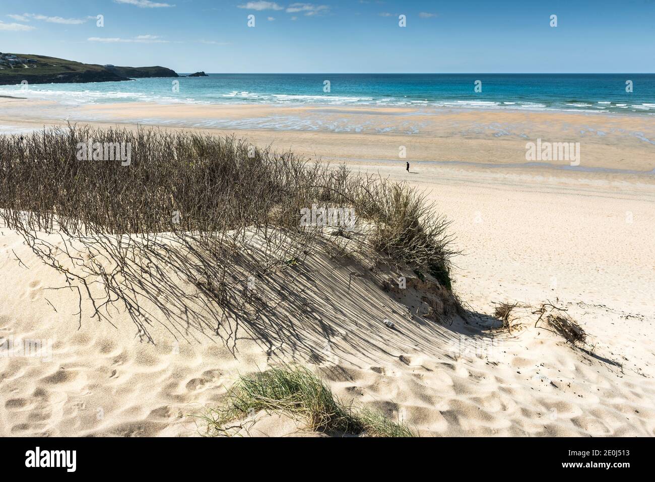 Vegetation wächst auf dem Sanddünensystem mit Blick auf einen Fistral Beach in Newquay in Cornwall. Stockfoto