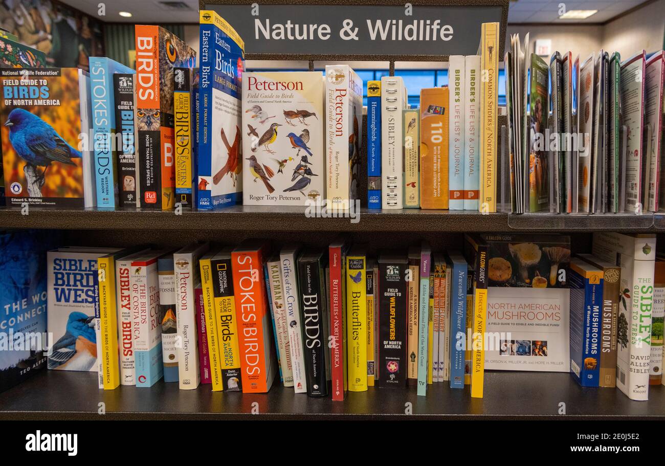 Bücher über Natur und Tierwelt, Barnes and Noble, USA Stockfoto