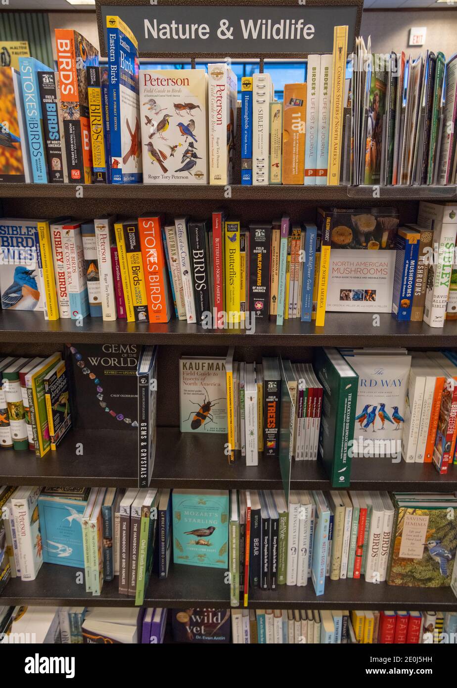 Bücher über Natur und Tierwelt, Barnes and Noble, USA Stockfoto