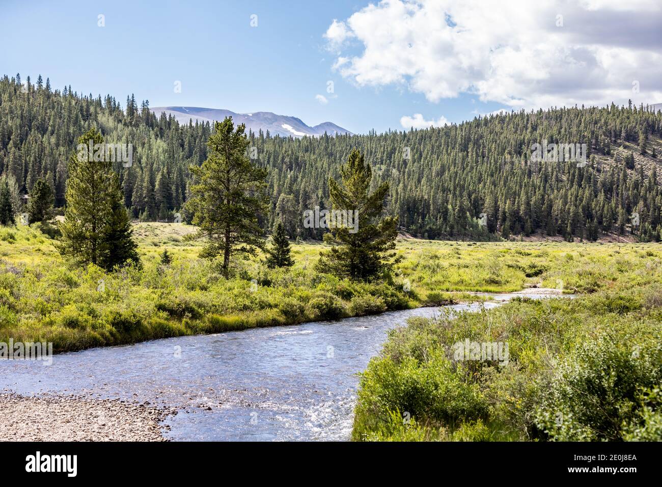 Colorado Sommerlandschaften und Texturen Stockfoto