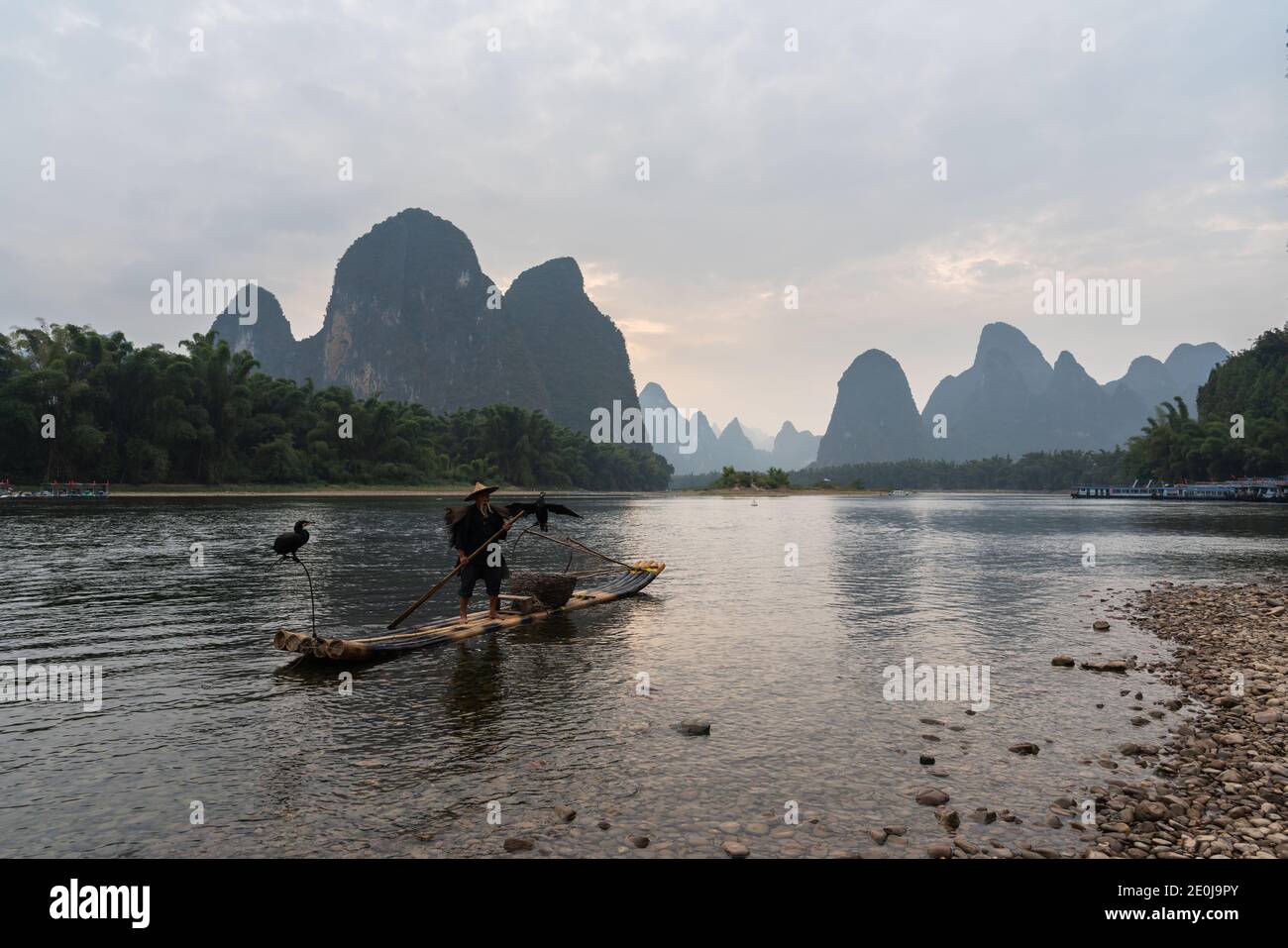 Kormoran China fischen den Li Fluss in der Dämmerung Stockfoto