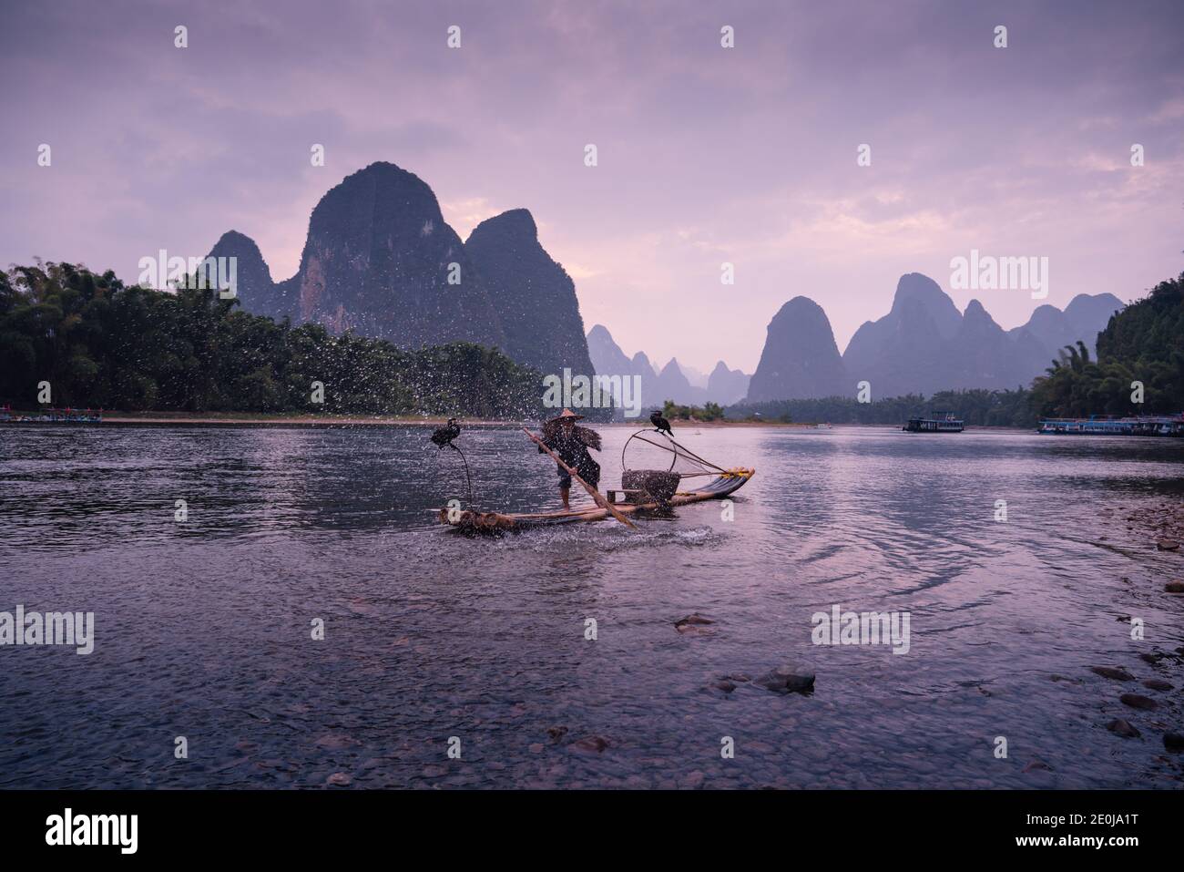 Kormoran China fischen den Li Fluss in der Dämmerung Stockfoto