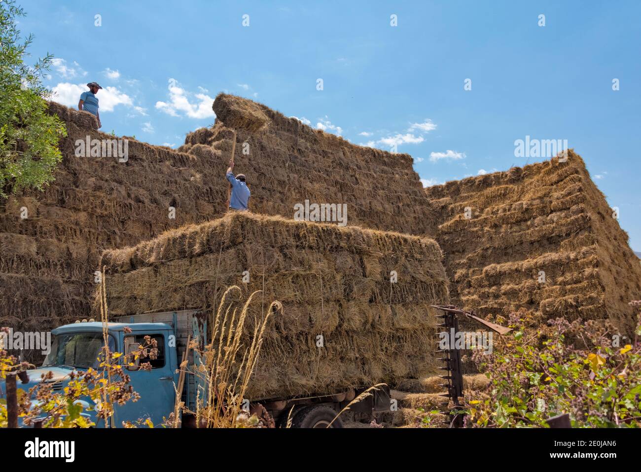 Bauern machen Heuhaufen auf einem Bauernhof, Armenien Stockfoto