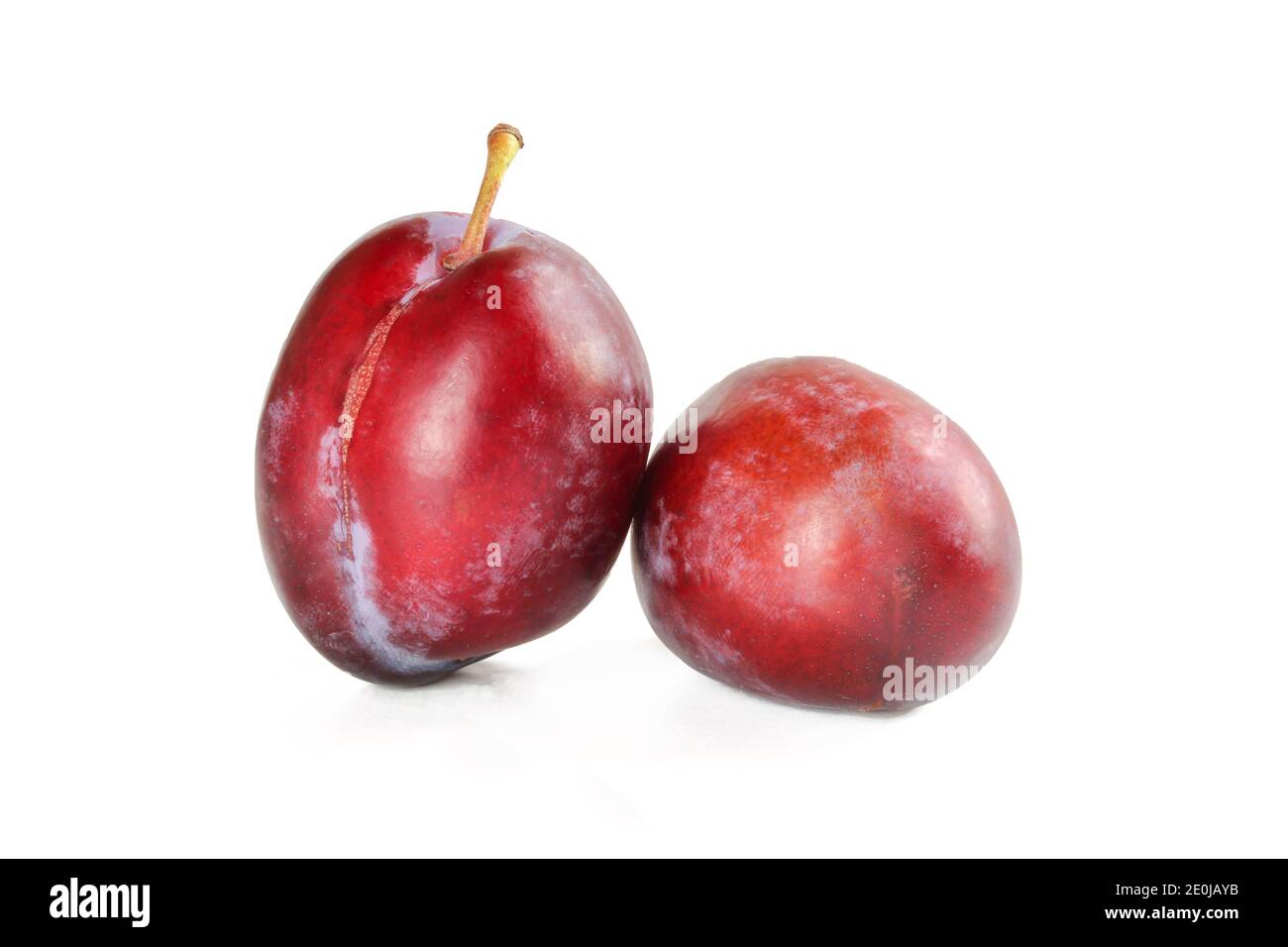 Zwei frische Pflaumen isoliert auf weißem Hintergrund. Leckere Bio-Früchte Stockfoto