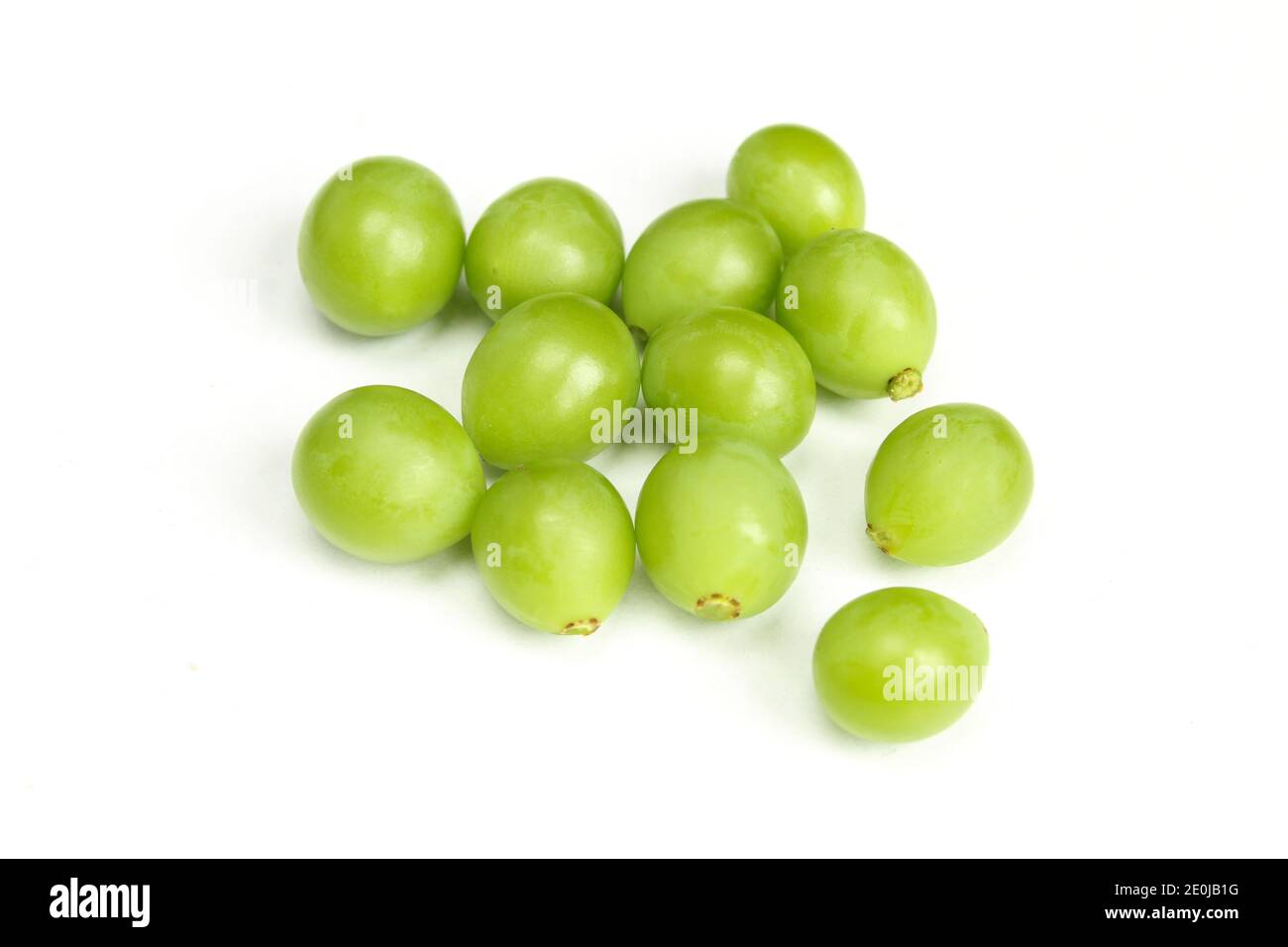 Haufen von grünen unreifen Traubensorten isoliert auf weißem Hintergrund. Bio-Obst Stockfoto