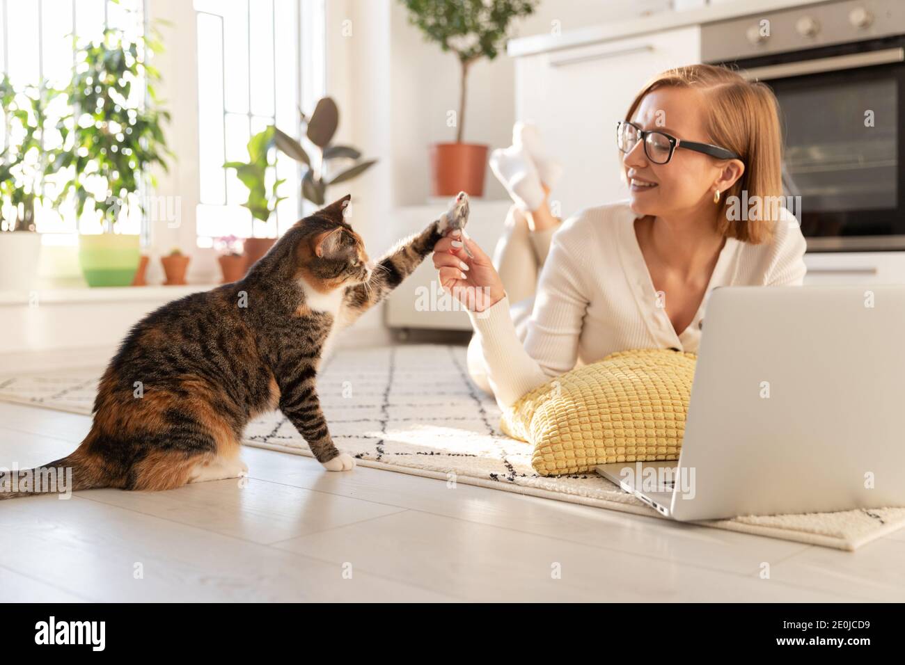 Lächelnde Frau Freiberuflerin liegt auf dem Teppich im Wohnzimmer, spielt mit Katze ein Spielzeug Maus zu Hause. Liebe Haustiere. Stockfoto